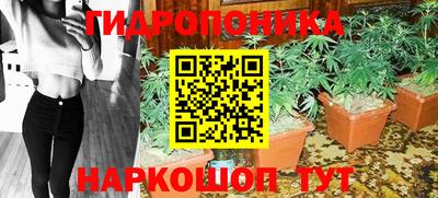 PSILOCYBIN Кандалакша