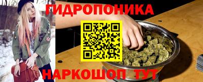PSILOCYBIN Кандалакша