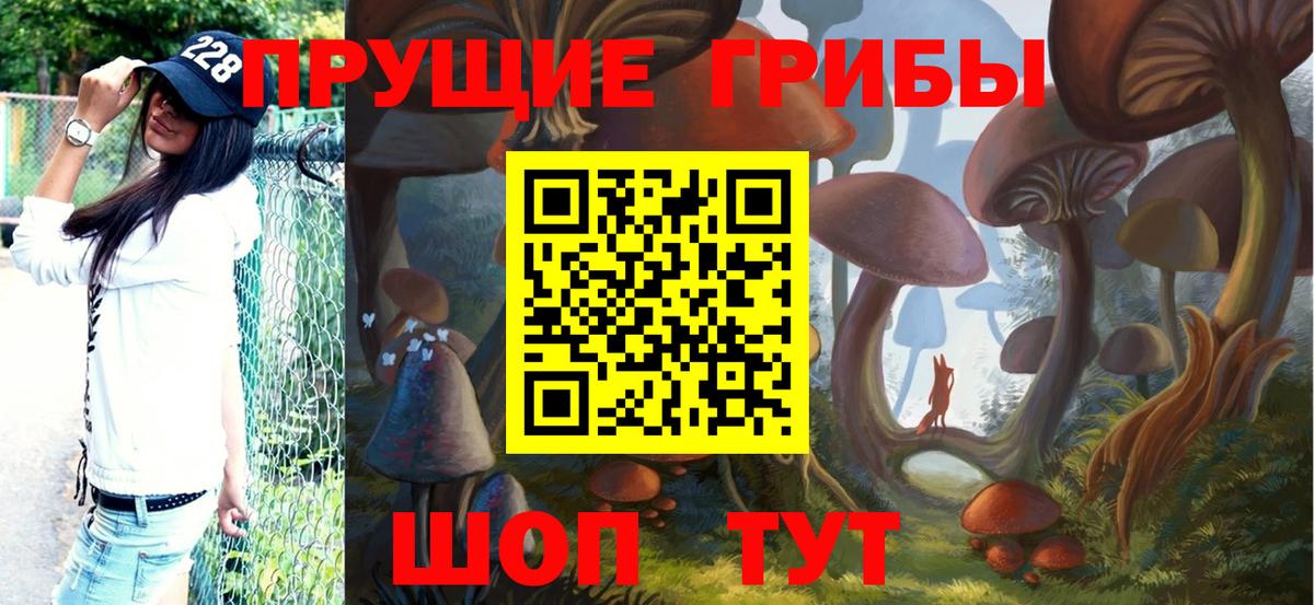 Галлюциногенные грибы Magic Shrooms Кстово