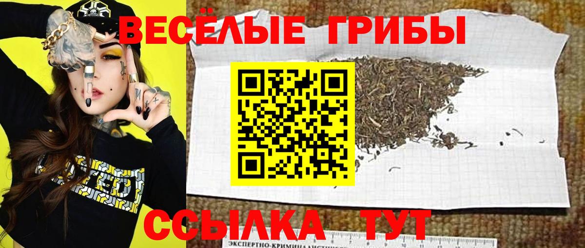 Кстово  Галлюциногенные грибы GOLDEN TEACHER  Вход с VPN  Галлюциногенные грибы GOLDEN TEACHER 